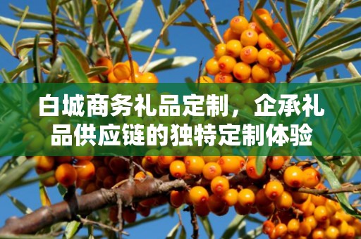 白城商务礼品定制，企承礼品供应链的独特定制体验